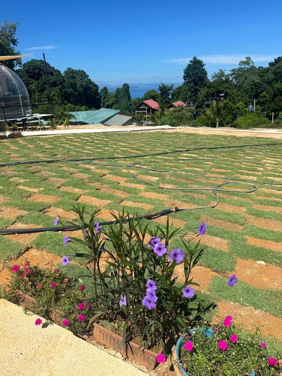 Dnamie Glamping - Lux Tent Pulau Perhentian Kecil Exteriér fotografie